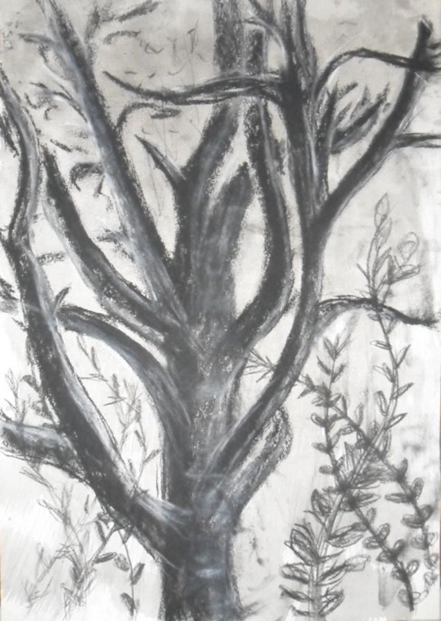 baum3 baum3